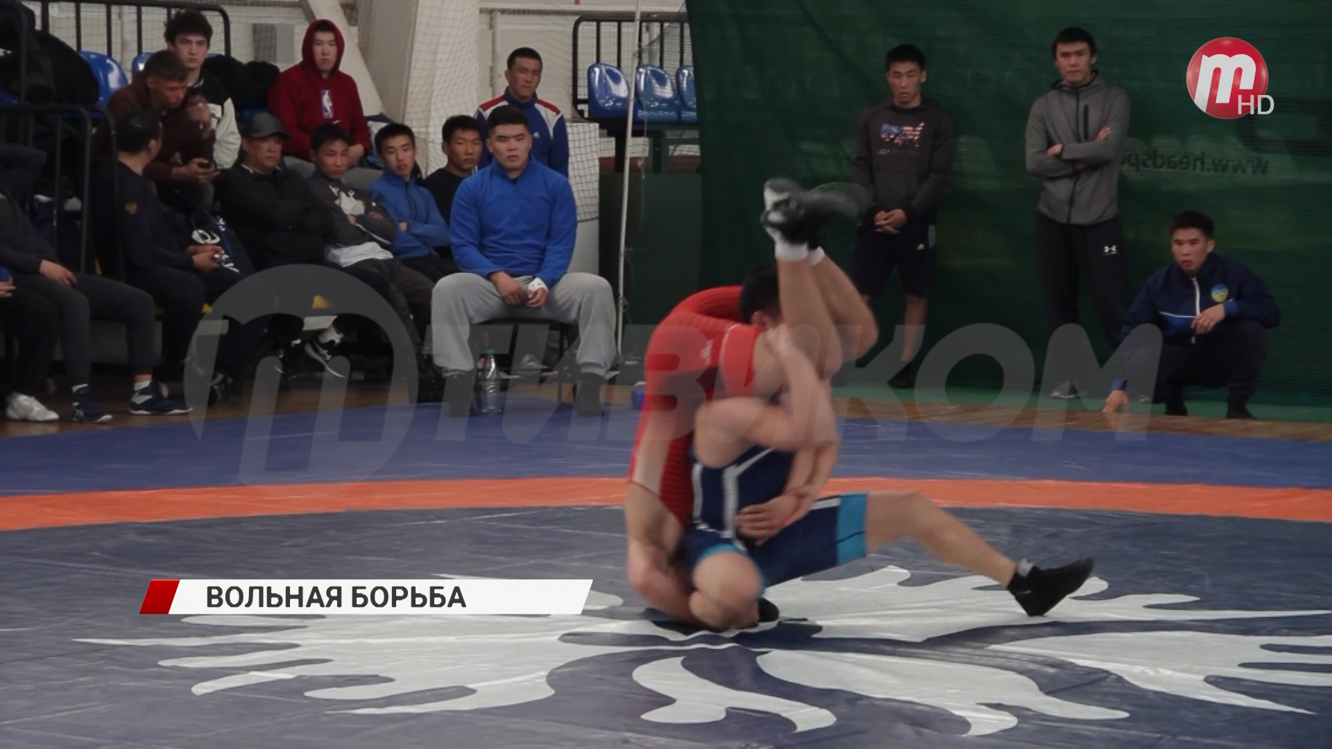 В спортивном комплексе БГСХА прошёл первый борцовский турнир памяти Александра Петровича Попова